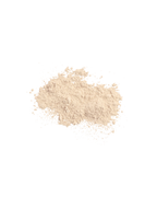 Sunforgettable Brush-On Shield SPF 50 brush